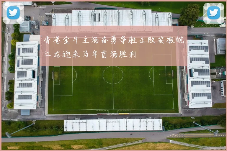 香港金牛主场奋勇争胜击败安徽皖江龙迎来马年首场胜利