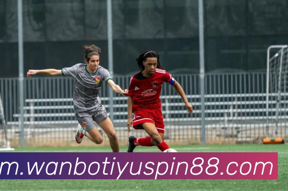 万博体育APP 封面图